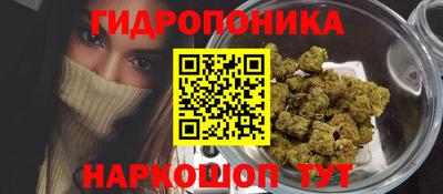 прущие грибы Малгобек