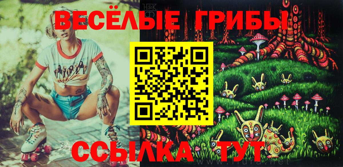 Шарыпово  Псилоцибиновые грибы ЛСД  Вход с VPN 